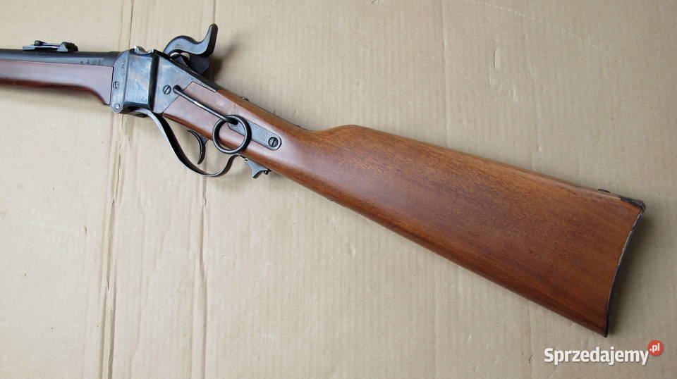 Sharps IAB Gardone VT kal 54 pomorskie Chojnice