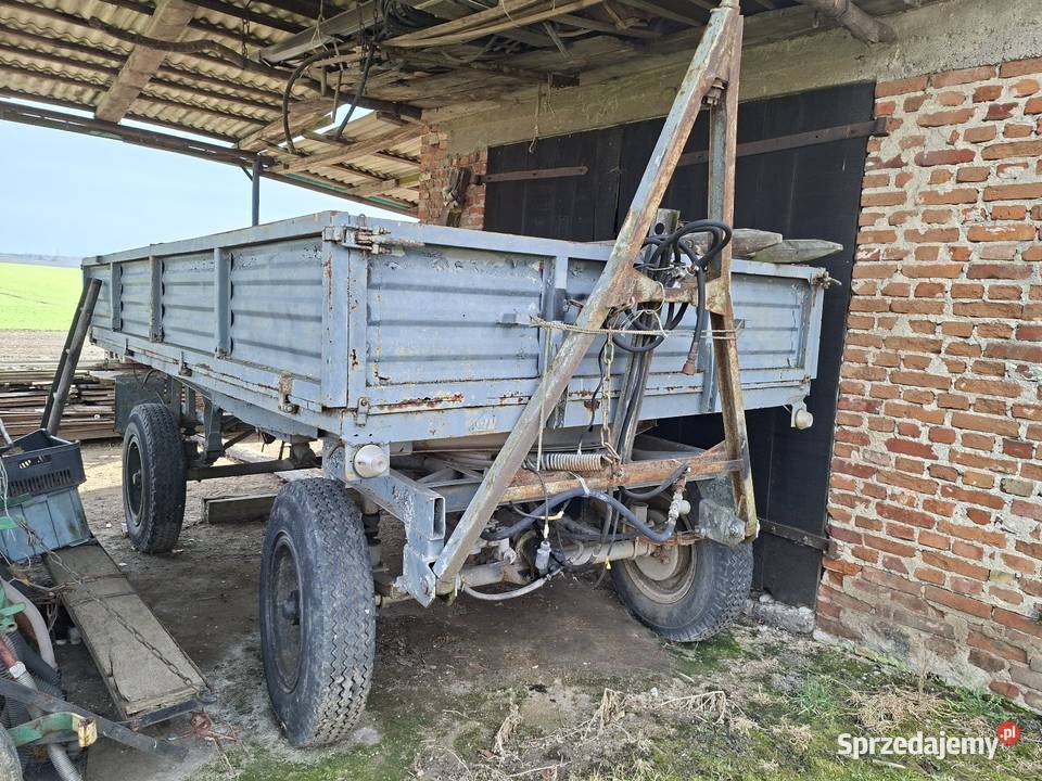 Przyczepa D47 kujawsko-pomorskie Lisewo