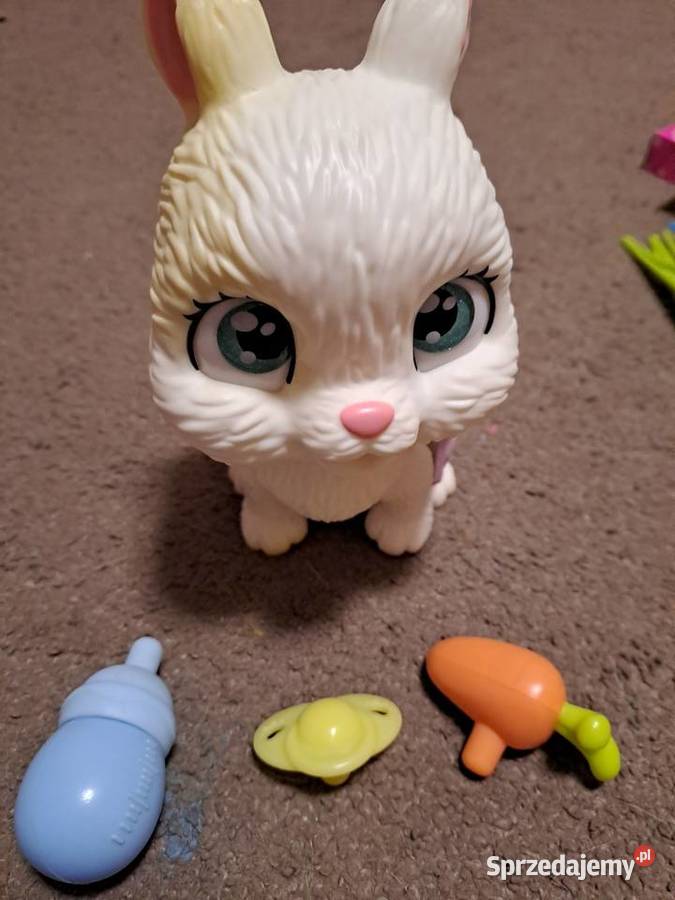 Króliczek pampers petz 4 lata+ Sosnowiec