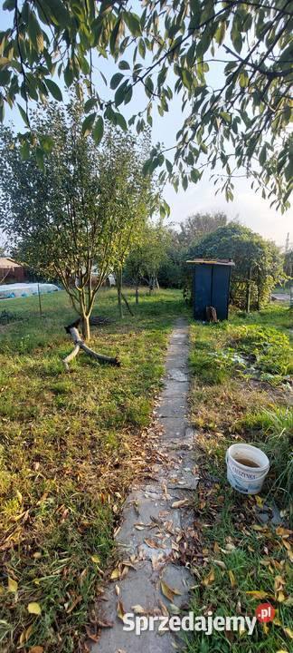 Ogódek działkowy ROD Oława