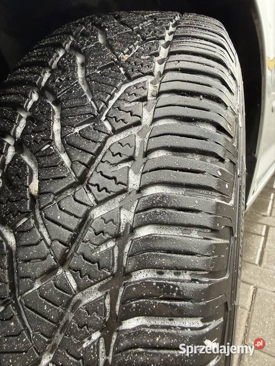 Golf Plus lubelskie Zamość