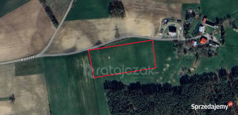 Grunt Milwino 3111m2 sprzedam