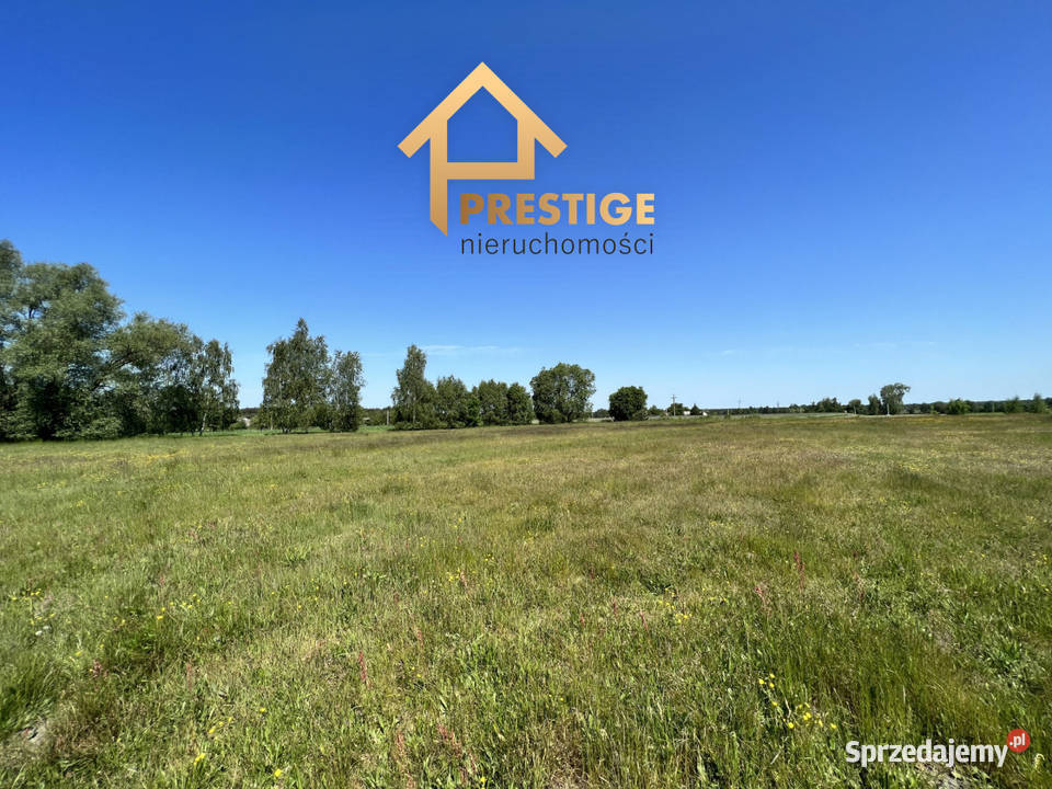 Działki budowlane w Białej Panieńskiej gmRychwał Sprzedaż Biała Panieńska