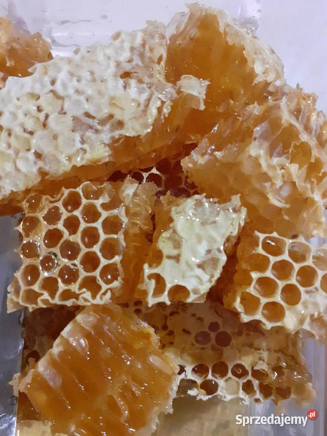 Miód naturalny wielokwiatowy z obszaru sprzedam