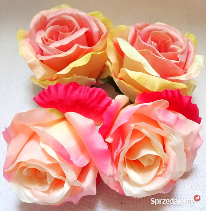 Róże rozwinięte różne kolory 1 śred 11 LA641 Siewierz