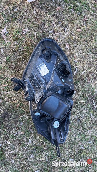 Lampa prawy przód Renault Kangoo III prawe Pilawa