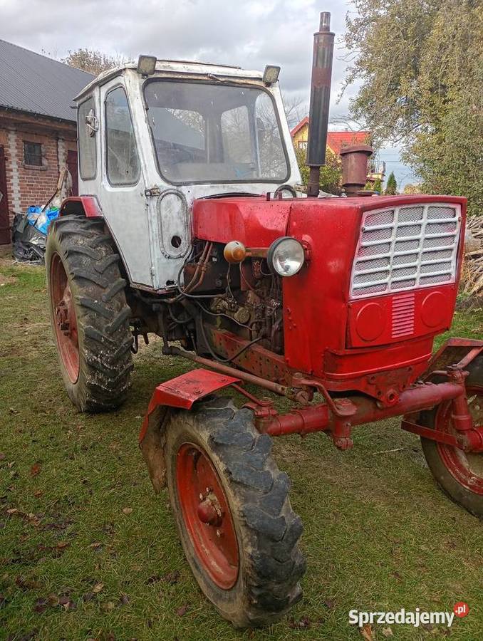 Białoruś jumz mtz lubelskie Zakrzew