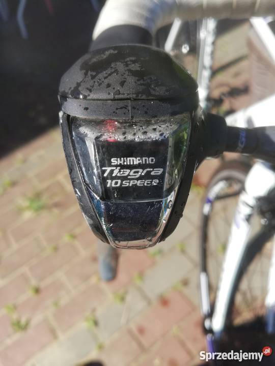 Rower kolarka Rowery