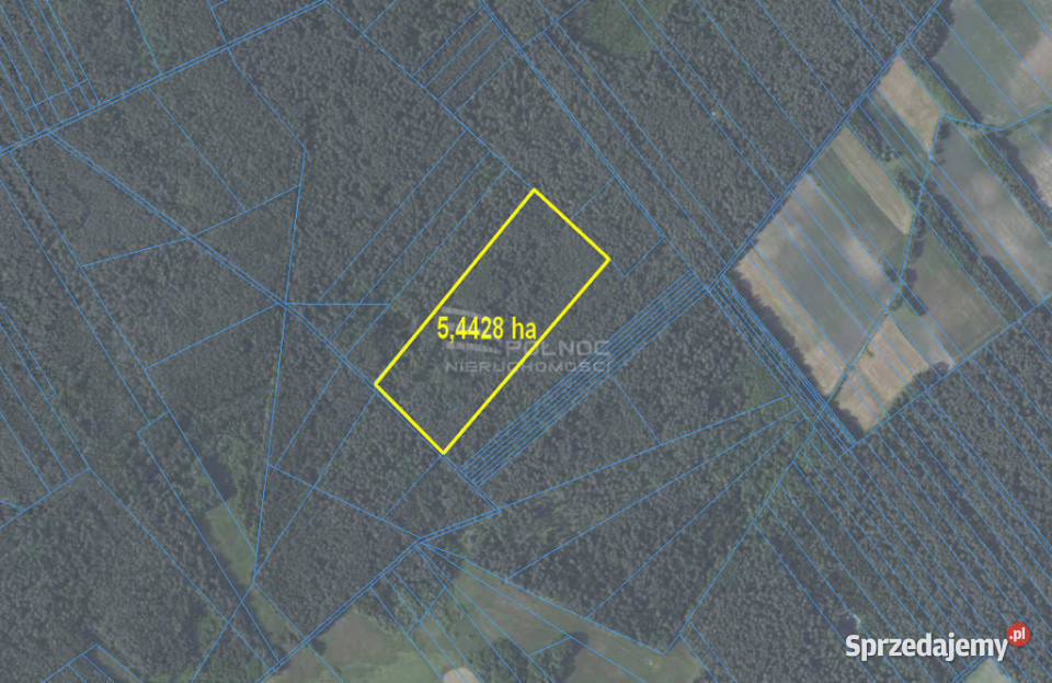 Działki leśne do sprzedaży Mokre gm Rossosz 115m
