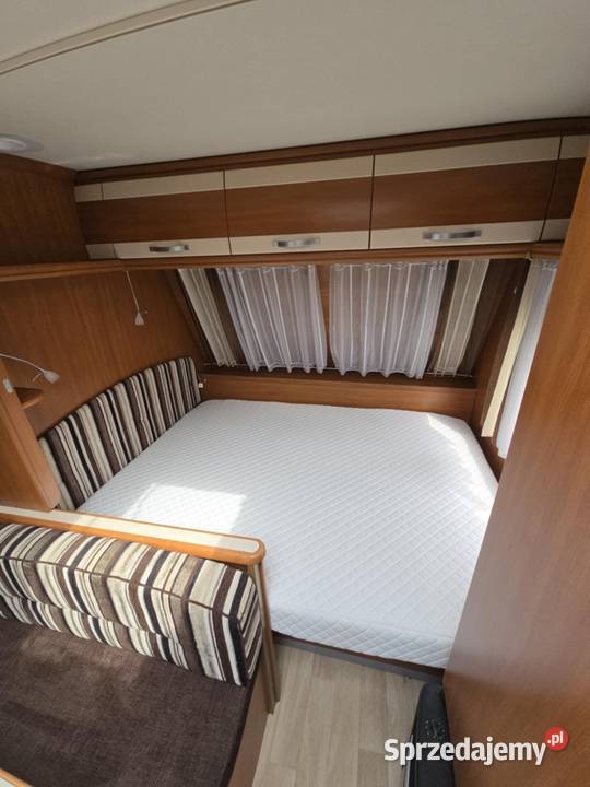 Sterckeman Romance łódzkie Bedlno