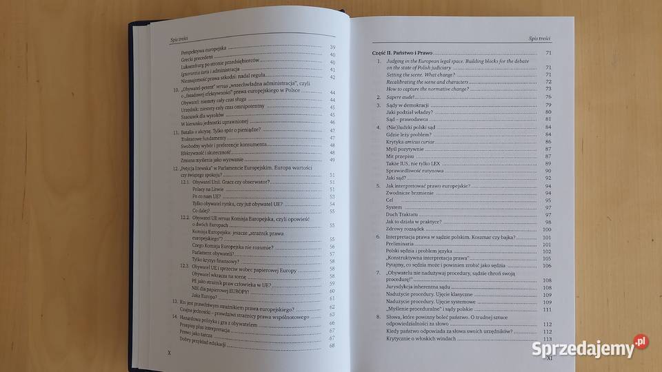 Tomasz Tadeusz Koncewicz Prawo z ludzką twarzą