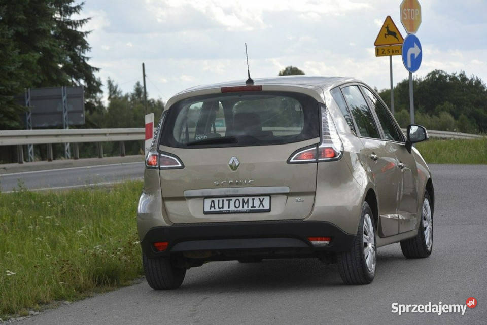Renault Scenic 12 TCe nawigacja doinwestowany Scenic podkarpackie Sędziszów Małopolski sprzedam