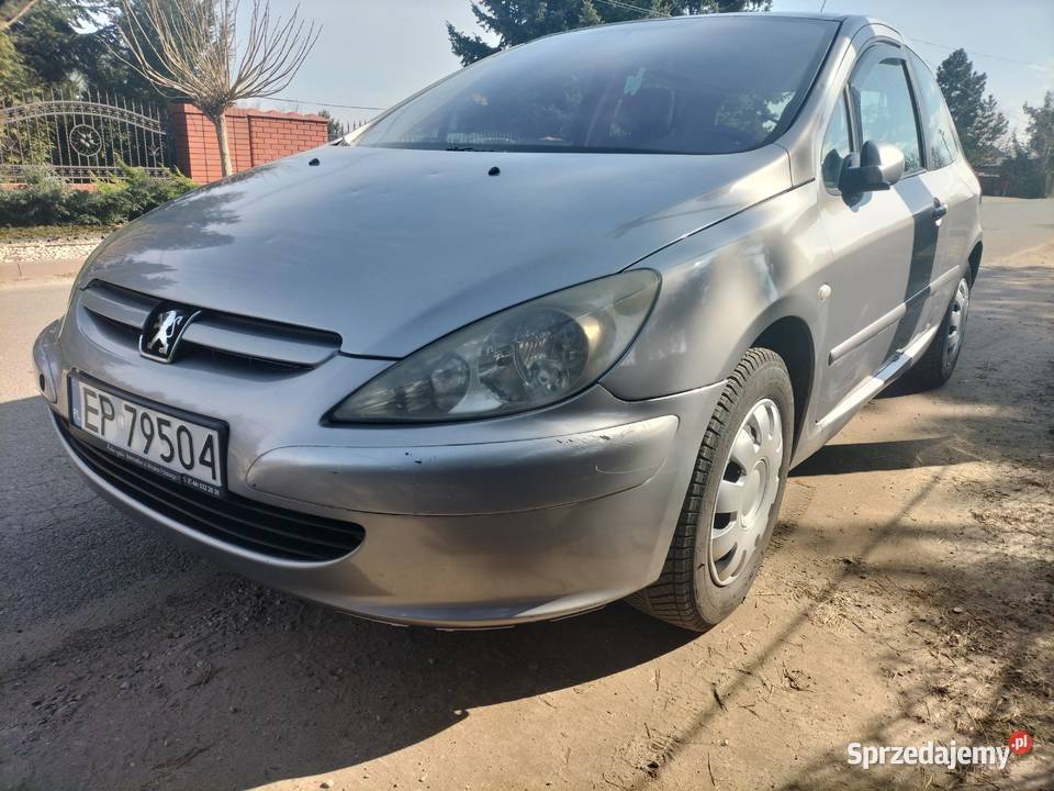 Peugeot 307 20HDI łódzkie Piotrków Trybunalski