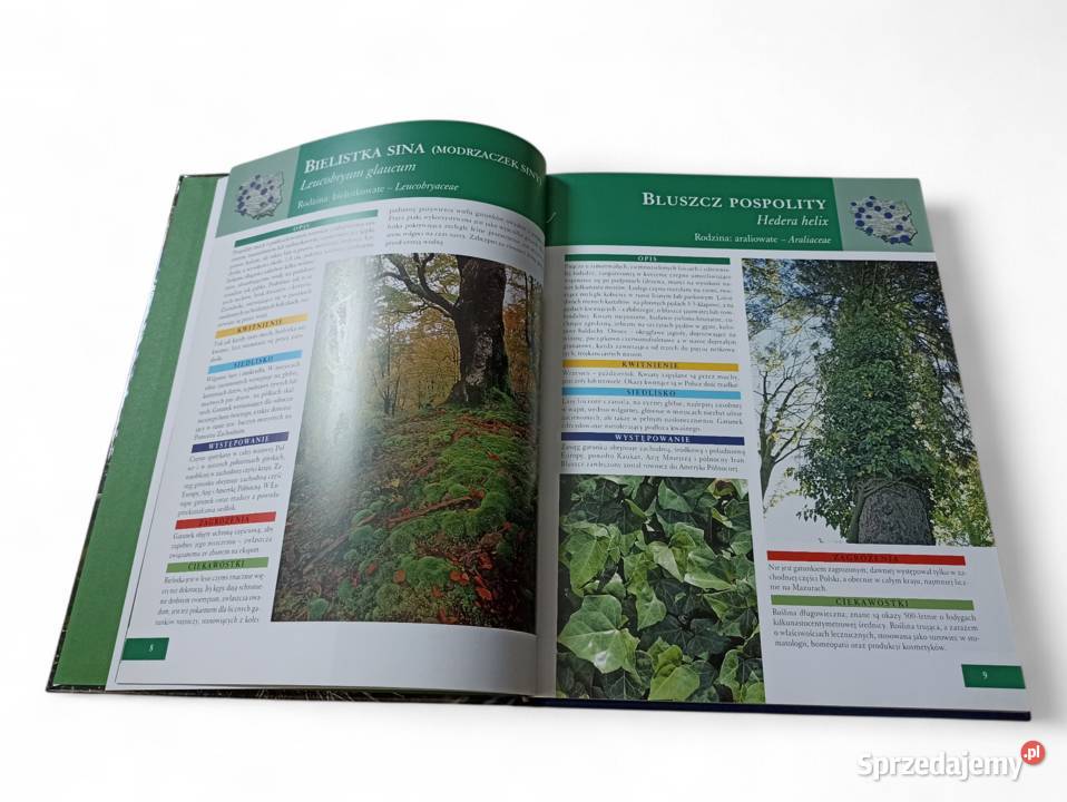 Agnieszka i Włodek Bilińscy Rośliny chronione w biologia, ekologia Kraków