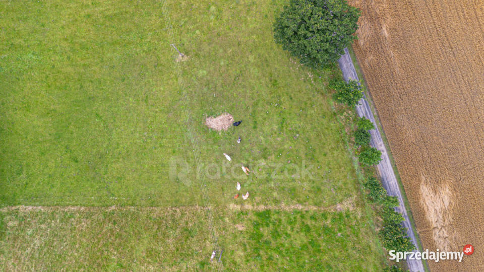 Grunt Milwino 3111m2 100m pomorskie