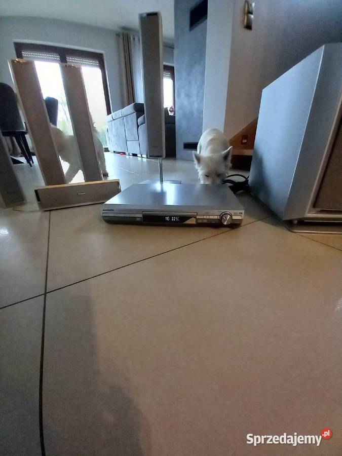 Kino domowe Panasonic SA HT 870 Tuner FM Kórnik