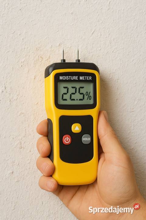 Sprawdzenie pleśni wilgoci grzyba w mieszkaniu Wrocław