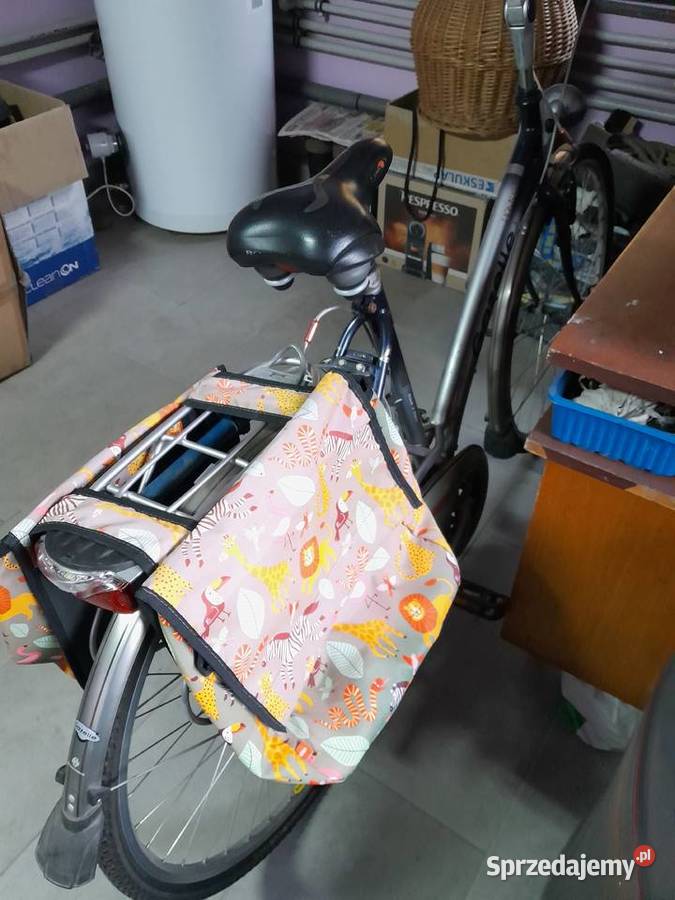 GAZELLE damka Łuków