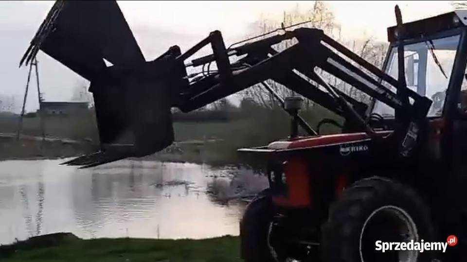 Zetor 7245 z turem Dziwie