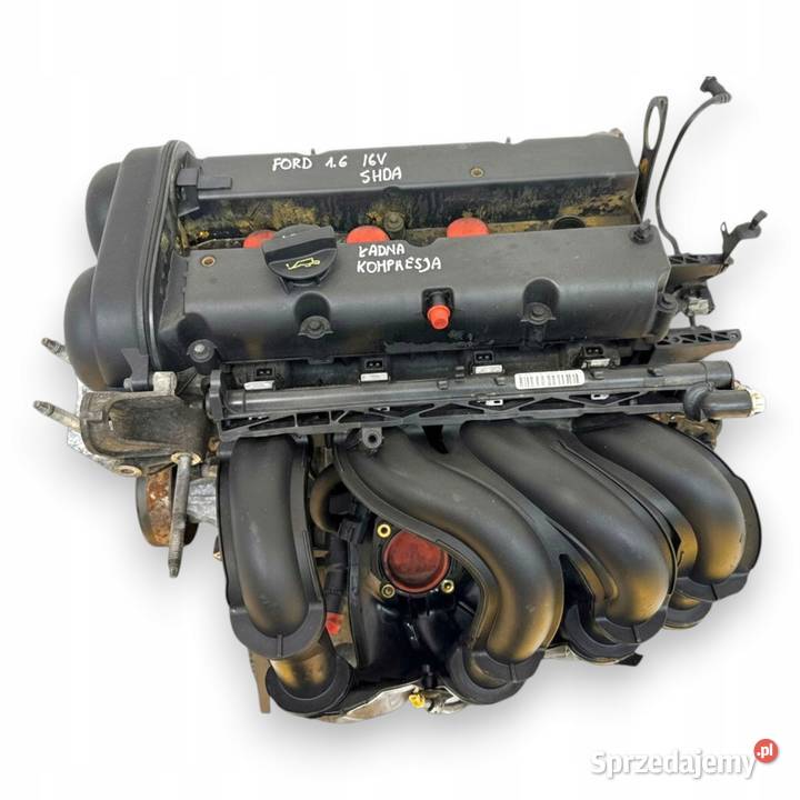 SILNIK SHDA Ford Focus II MK2 C C 16 16V 100 Chełm