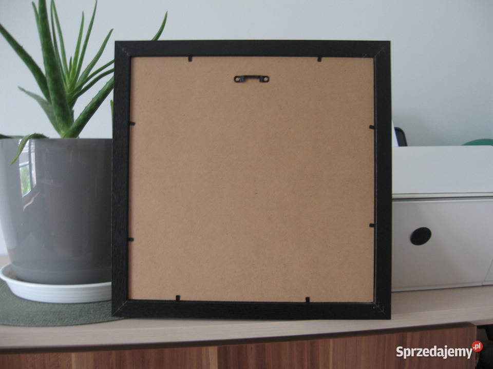 Obrazek haft diamentowy Tygrys warmińsko-mazurskie Olsztyn