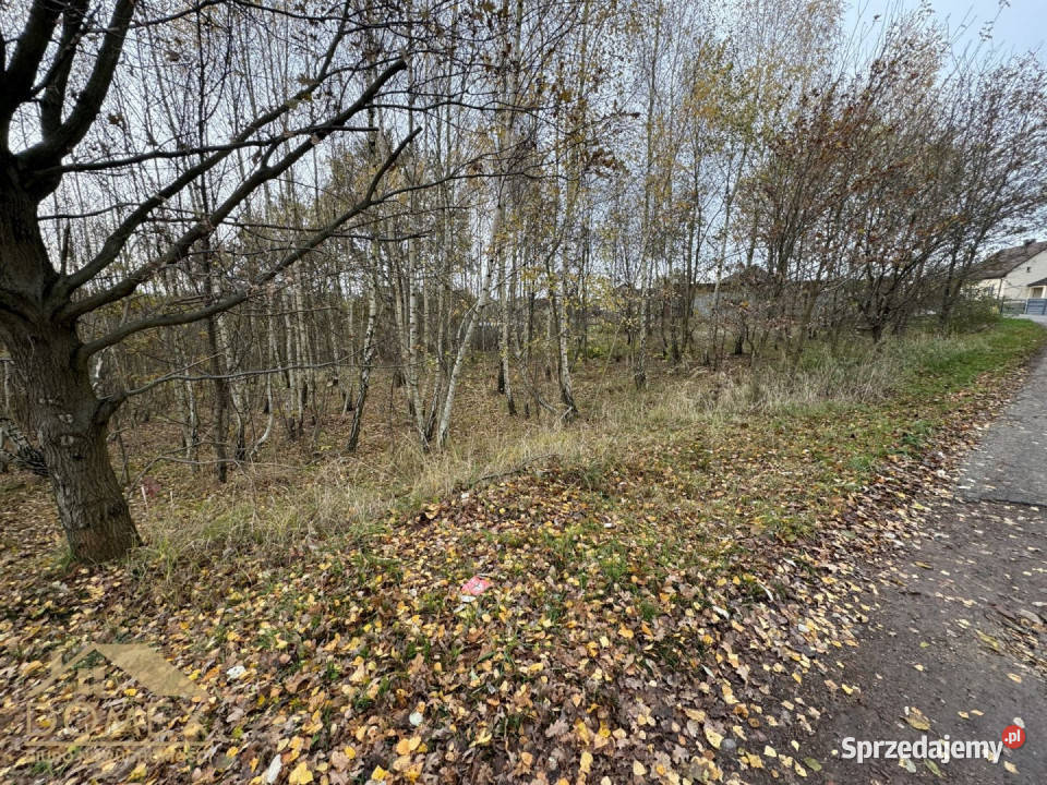 sprzedaży gruntu 1260m2 Mszana Sprzedaż śląskie