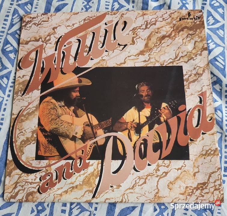 Willie and David The Bindlestiffs Smith płyty Płyty i kasety Chełmno