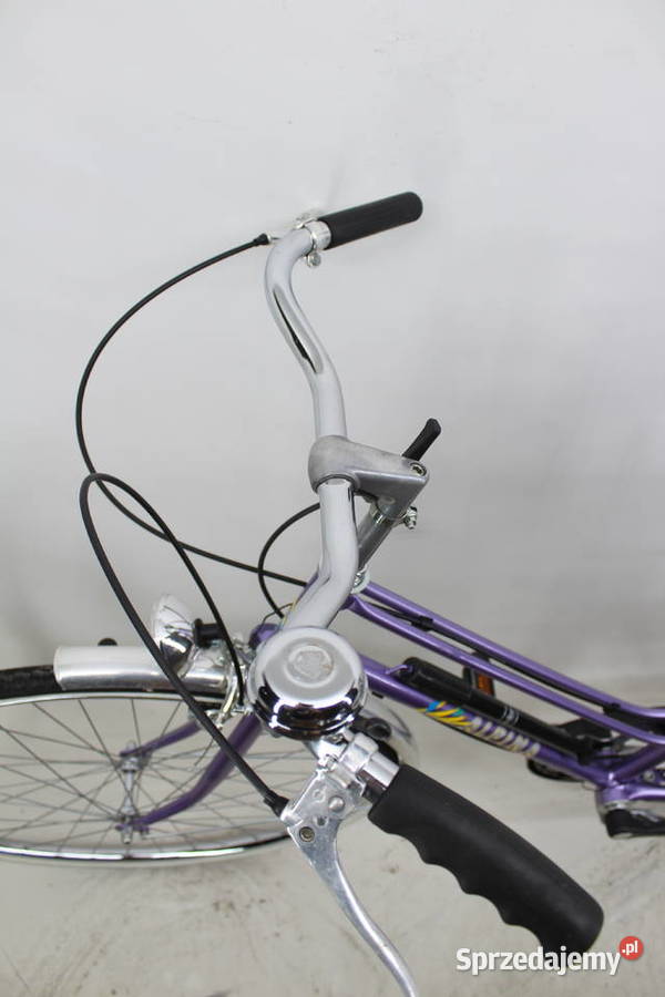 PIĘKNY KLASYK DAMSKI ALPINA KOŁA 28 5 BIEGÓW Rowery i akcesoria Milicz