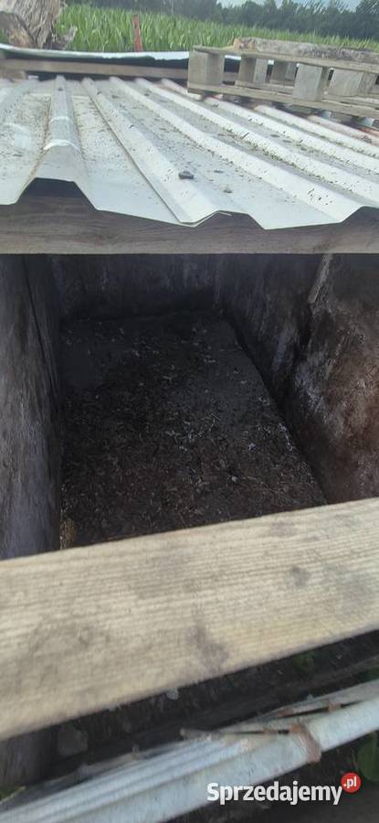 Kojce cieląt Złotniki Kujawskie