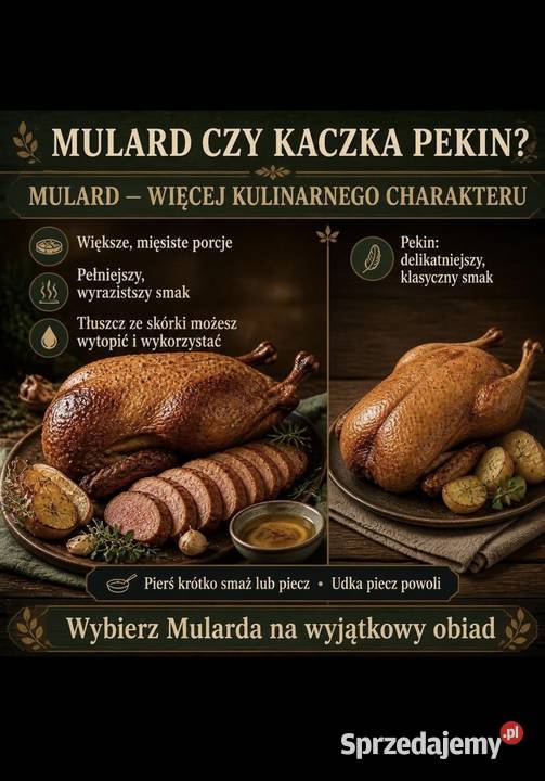 Sprzedam kaczkogęsi Mulard Rutka-Tartak
