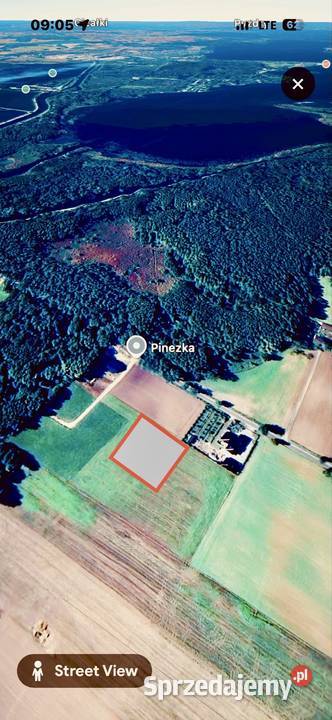 Działka budowlana z warunkami zabudowy las 1376m2 wielkopolskie Kępa