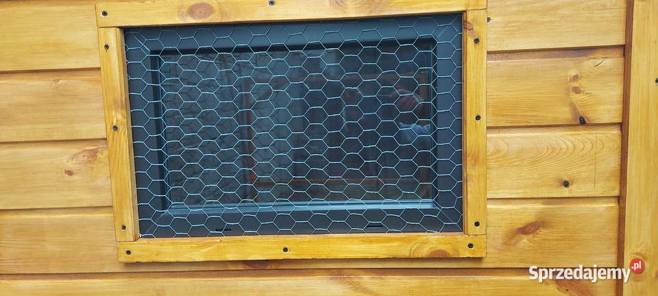 Kurniki kur Nowy Częstochowa