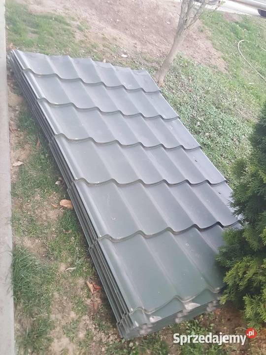 Blachodachwka zielona Jodłowa