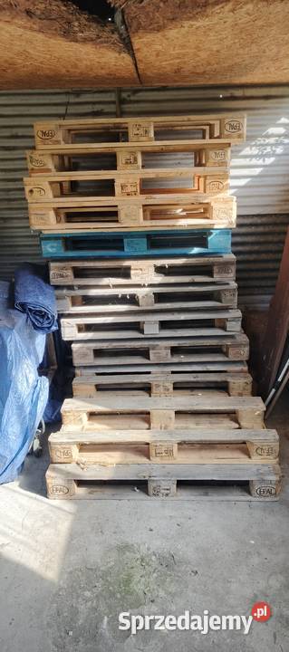 Palety 120 x 80 Piotrków Kujawski