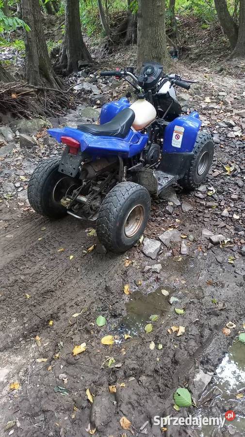Quad 50 AEON SPRAWNY DWUSÓW Bieliny