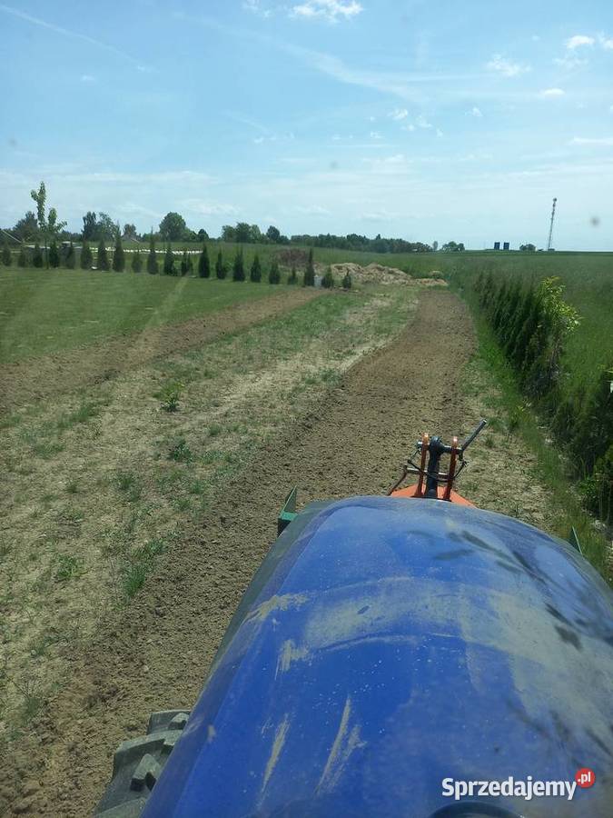 Zakładanie trawnika siew trawy przygotowanie Kłoczew