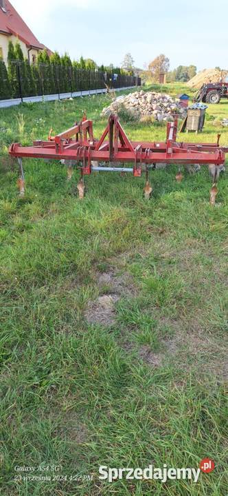 Wyprzedaż sprzedam grube głębosz 3 m mazowieckie Samorządki sprzedam