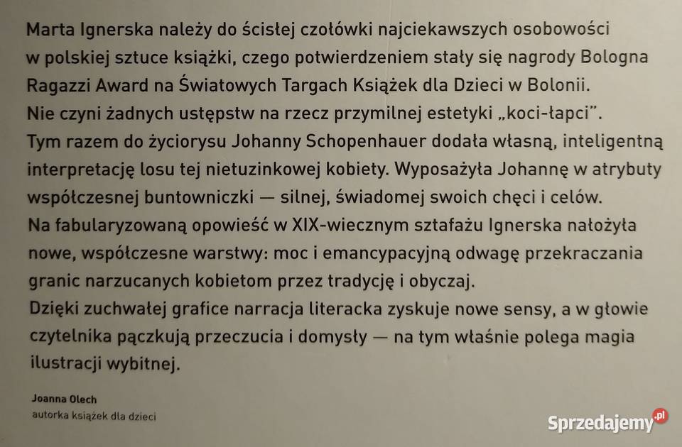 Lustra Johanny Anna CzerwińskaRydel Gdańsk sprzedam
