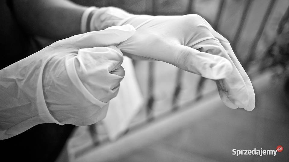 Usługi sprzątania fekaliach odchody z wybicia i Wrocław