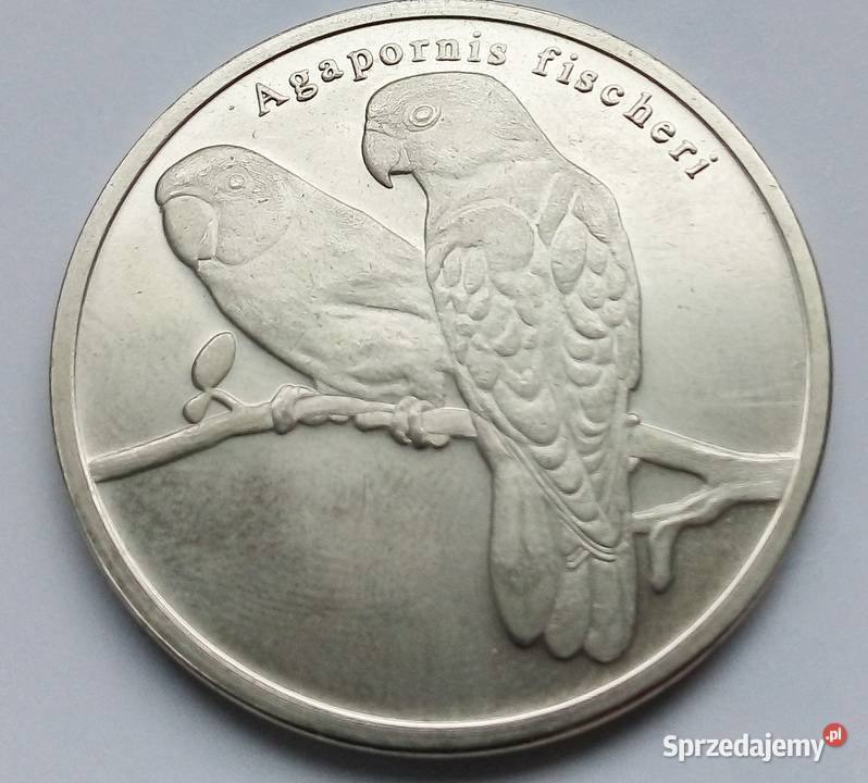 CISKEI RPA 5 RAND2018 rPAPUGI Legionowo sprzedam