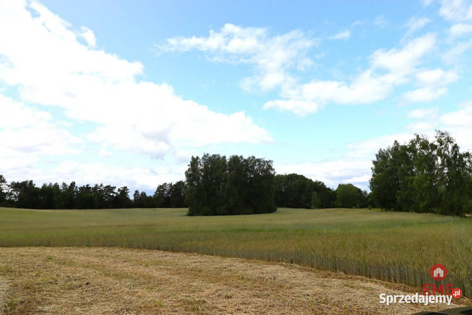 Działka do sprzedania 55000m2 Garbas Drugi