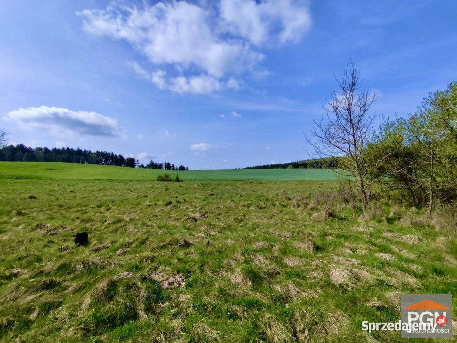 Dom wolnostojący Gryfice 180m