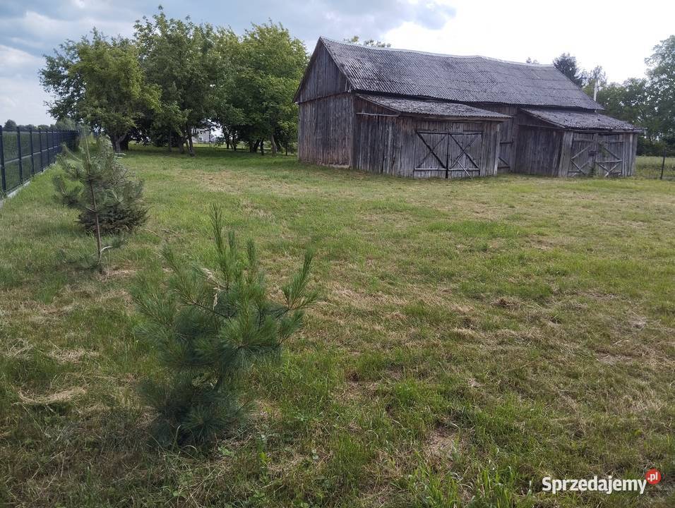 Siedlisko działka 21a Puchaczów Stara Wieś Łęczna