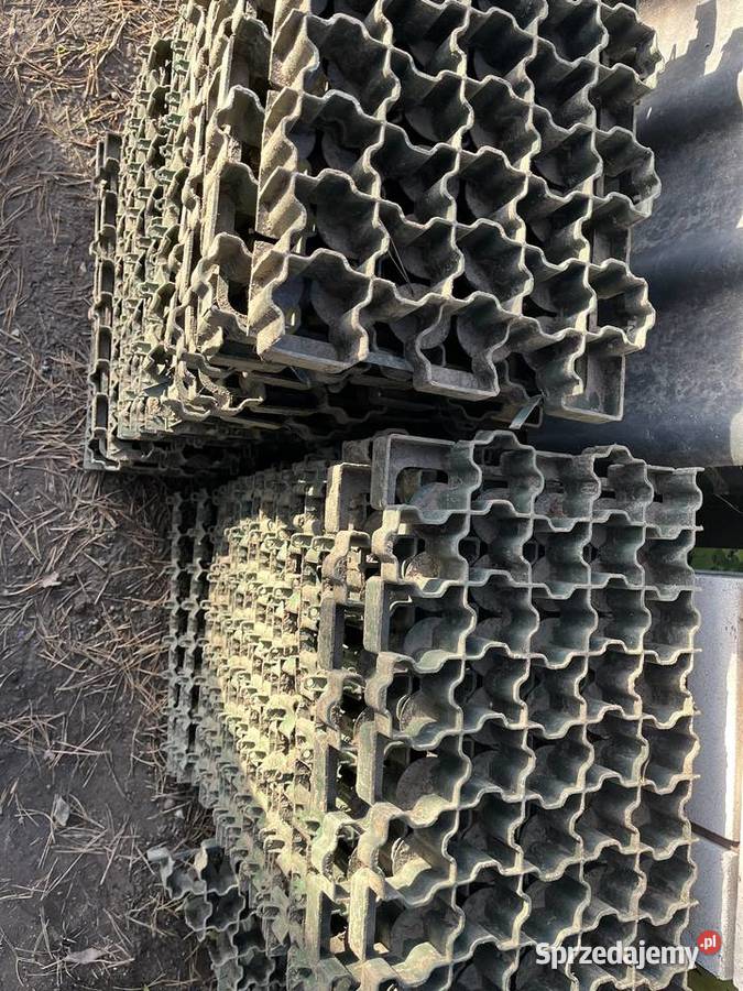 Geokratka Kratka trawnikowa ogrodowa Geokraty mazowieckie Ożarów Mazowiecki