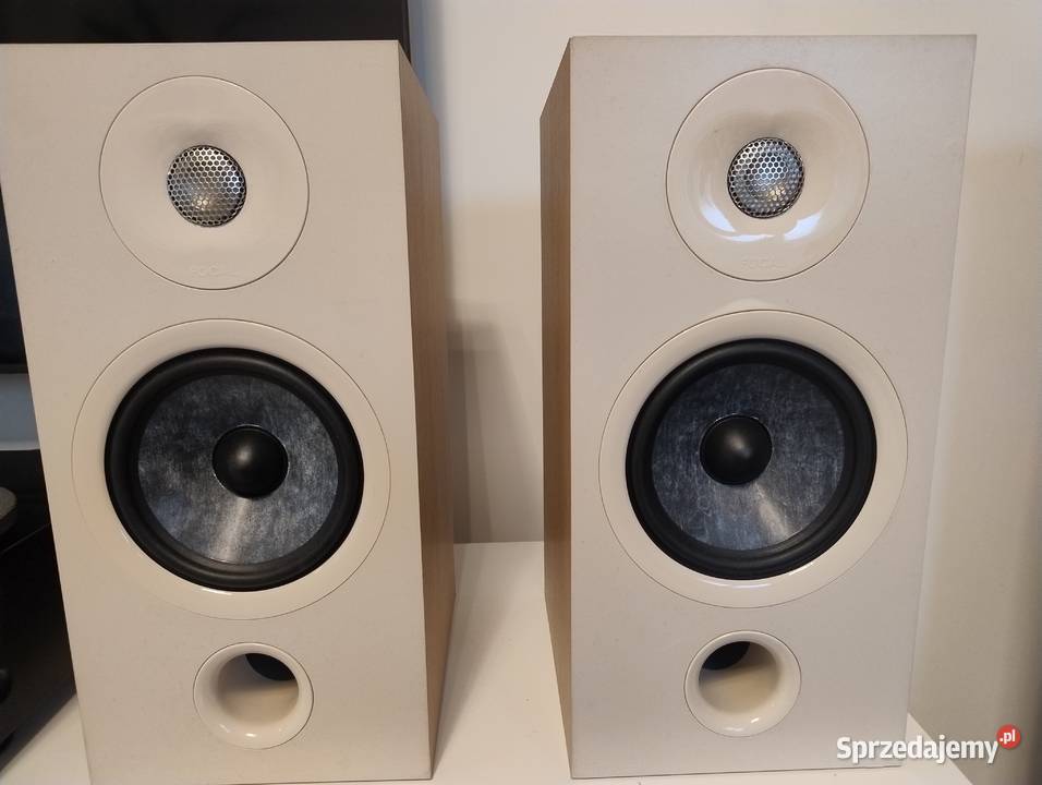 Focal Chora 806 Made in France kolumny opolskie Ujazd