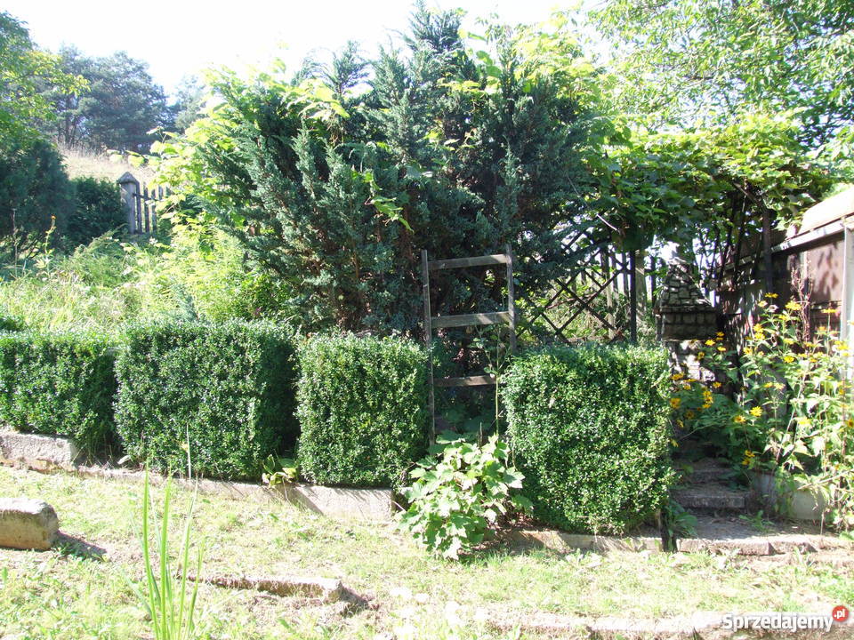 Piękna działka w Siemieniu Nadrzecznym Siemień Nadrzeczny sprzedam