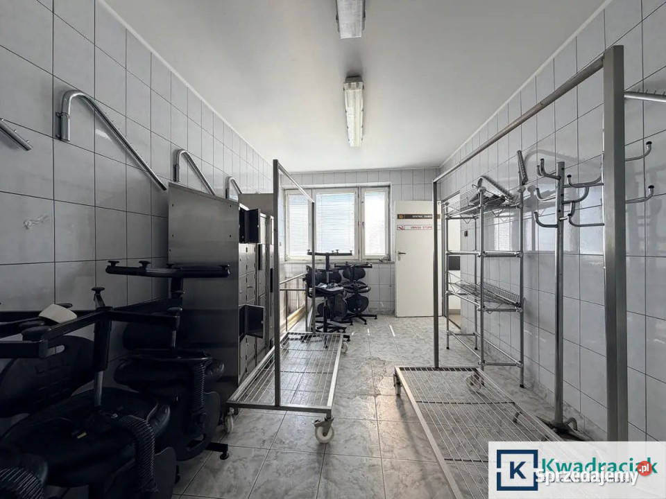 Lokal 66387m2 Krajowice