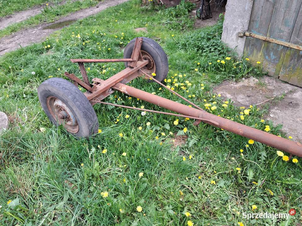 Wózek transportowy hedra Długołęka