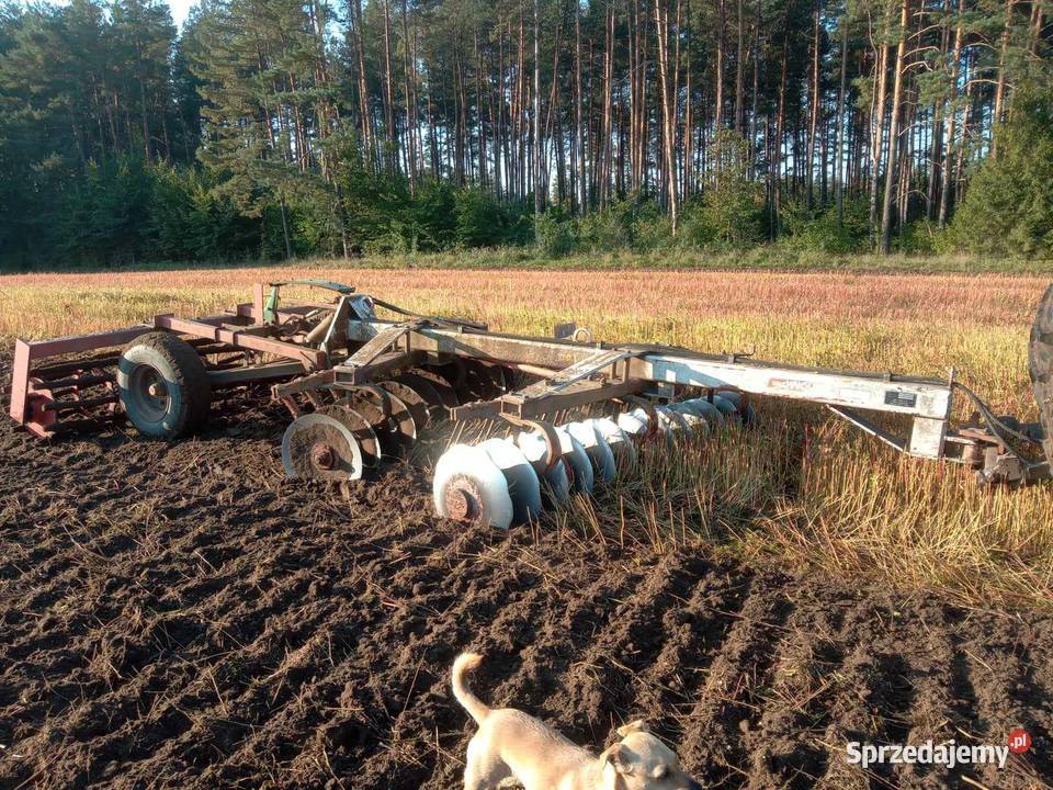 Talerzowka 3m lubelskie Tereszpol-Kukiełki