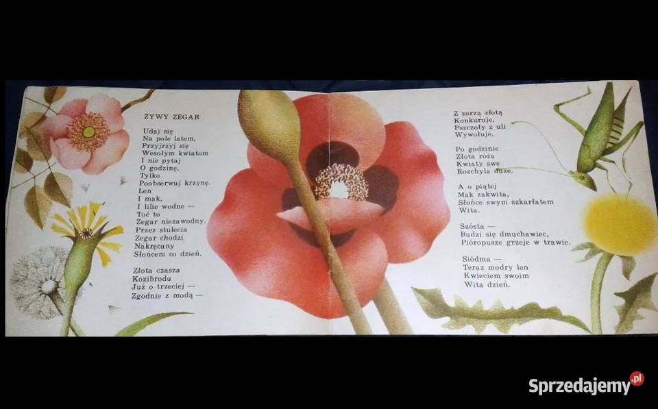 Lato Walancin Łuksza Książki i Podręczniki